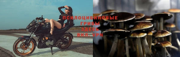 дмт Богородск