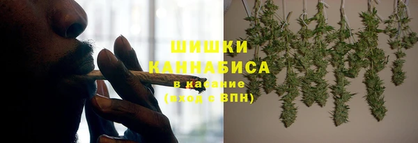 стаф Богородицк