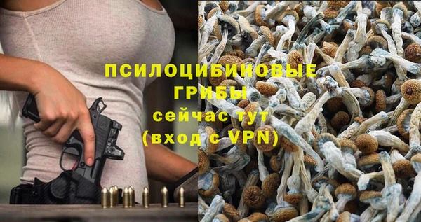 дмт Богородск